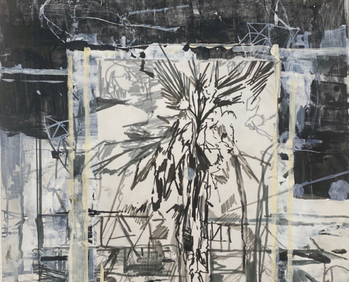 Palm,-17'x14'-2024-WEB